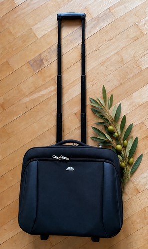 Samsonite business trolley - samsonite,